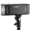 Godox AD200Pro AD200 Pro with PERGEAR Diffuser, 200Ws 2.4G Flash Strobe, 1/8000 HSS, 500 Full Power Flashes, 0.01-2.1s Recycling, 2900mAh Battery, Bare Bulb/Speedlite Fresnel Flash Head, Lightweight