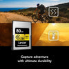 Lexar Professional 80GB CFexpress Type A Gold Series Memory Card Upto 900MB/s For Camera