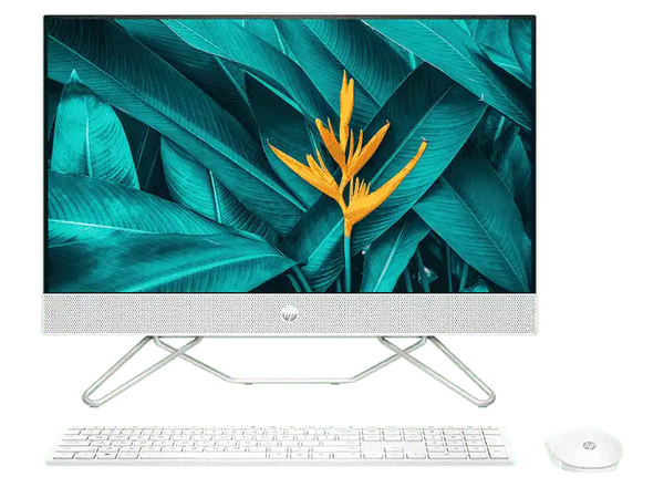 c07803244_grande.webp?v=1650704142